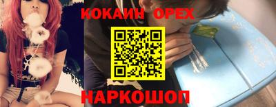 Альфа ПВП Майкоп
